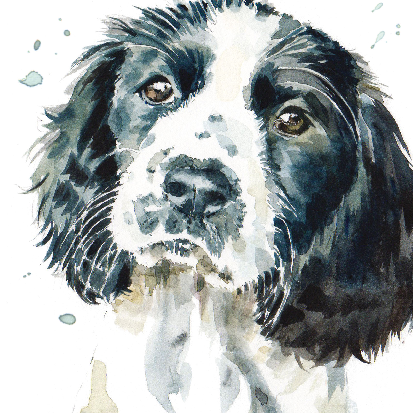 PUPPY DOG EYES CARD - SPRINGER SPANIEL PUPPY - SMUDGE
