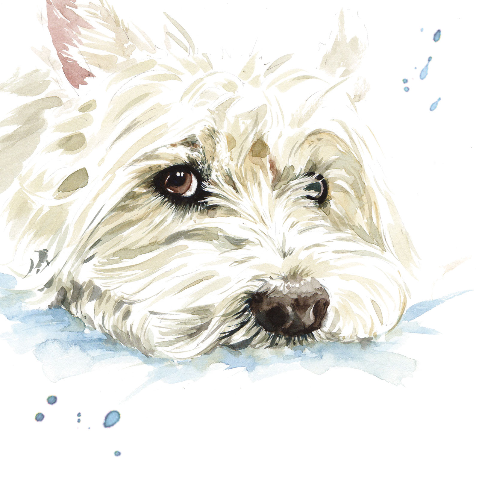 PUPPY DOG EYES CARD - WEST HIGHLAND WHITE TERRIER - HAMISH
