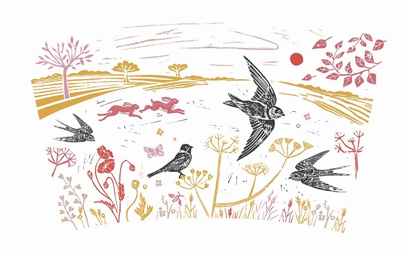 RSPB NATURES PRINT - RIVERBANK MUG - SWALLOWS - 2