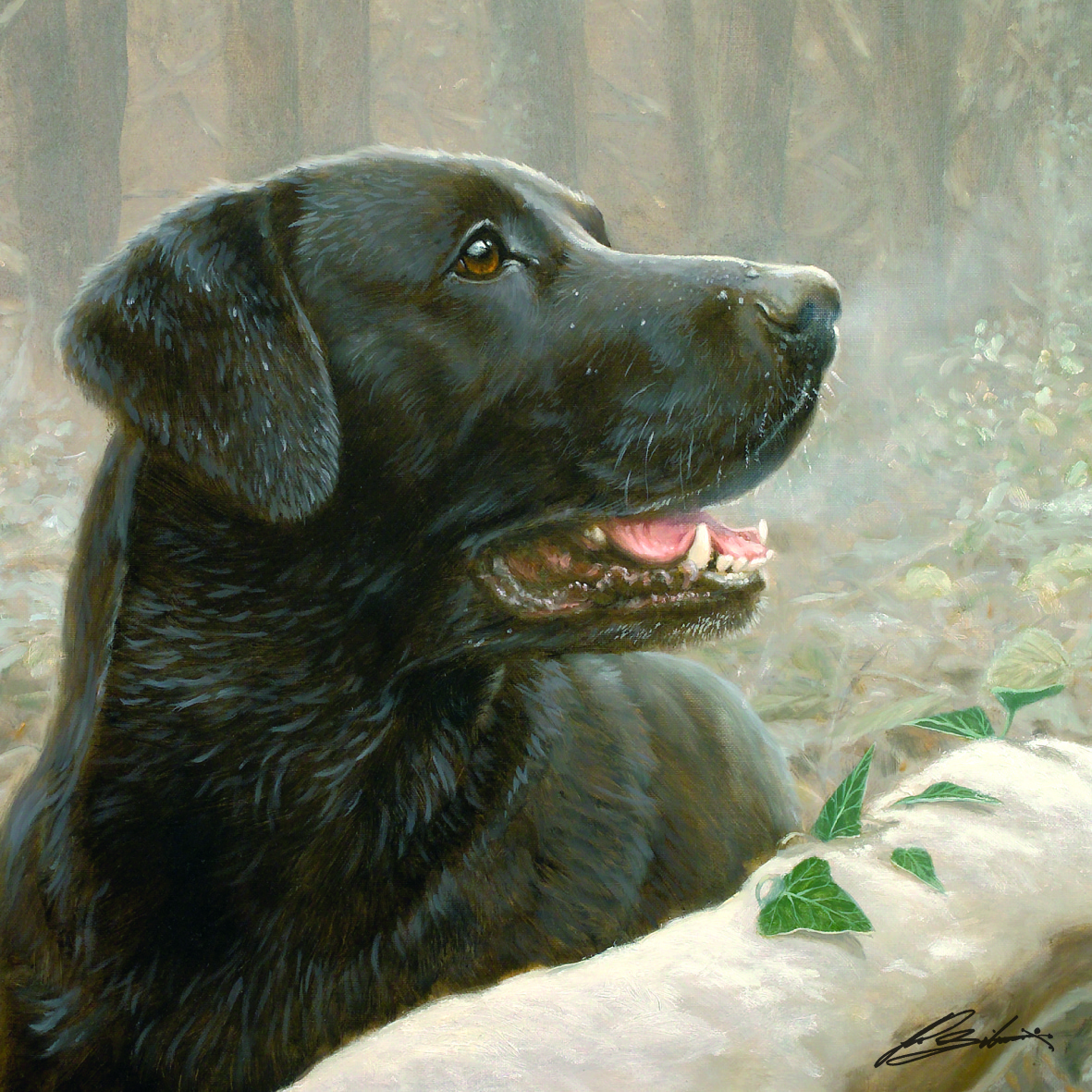 Kort Faithful Companion