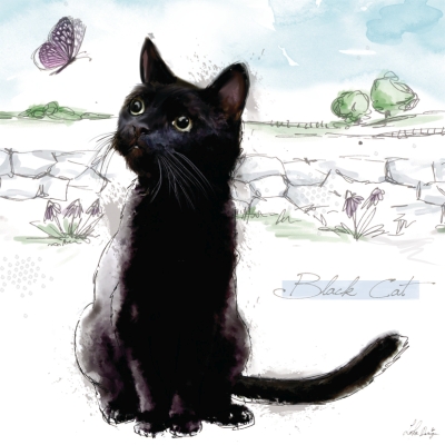 Kort Black Cat