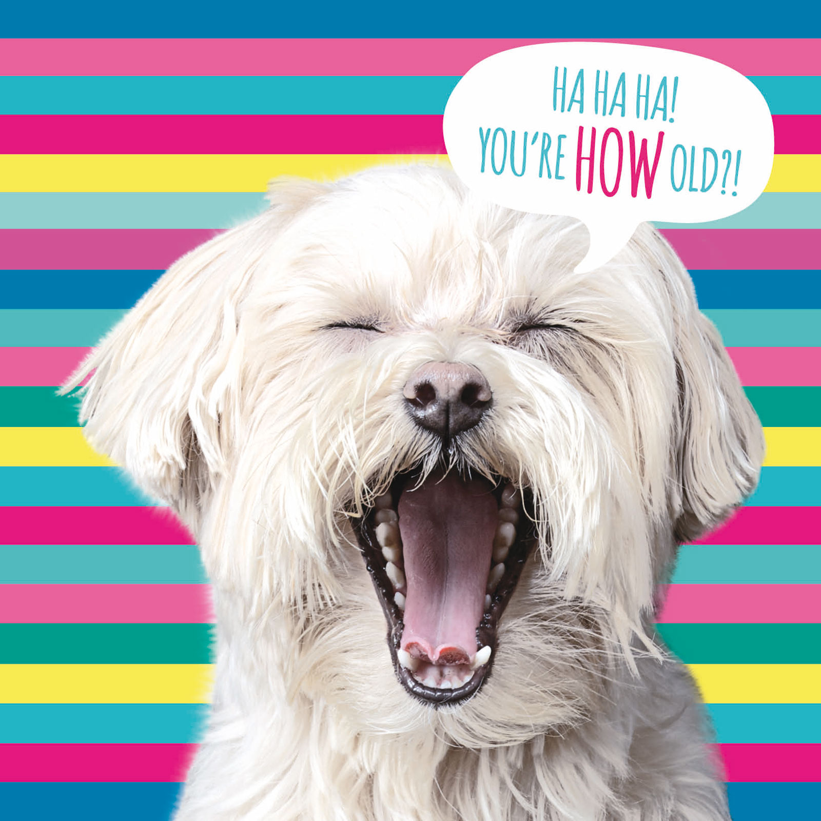 Kort Stripey Dog