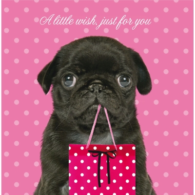 Kort Pug´s Little Wish