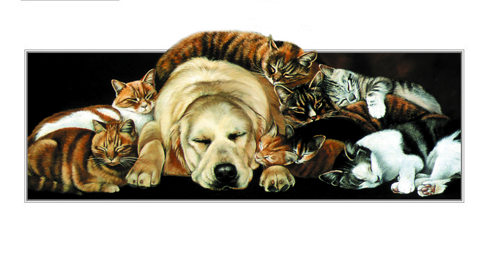Kort Sleeping Partners