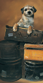 Kort Bon Voyage -Border Terrier