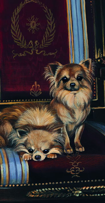 Kort A Chair Of Our Own - Chihuahuas