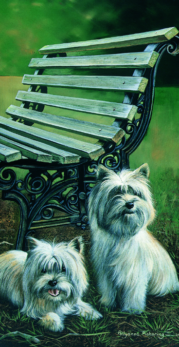 Kort A Walk In The Park - Cairn Terriers