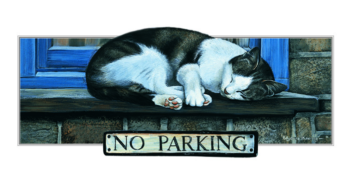 Kort No Parking