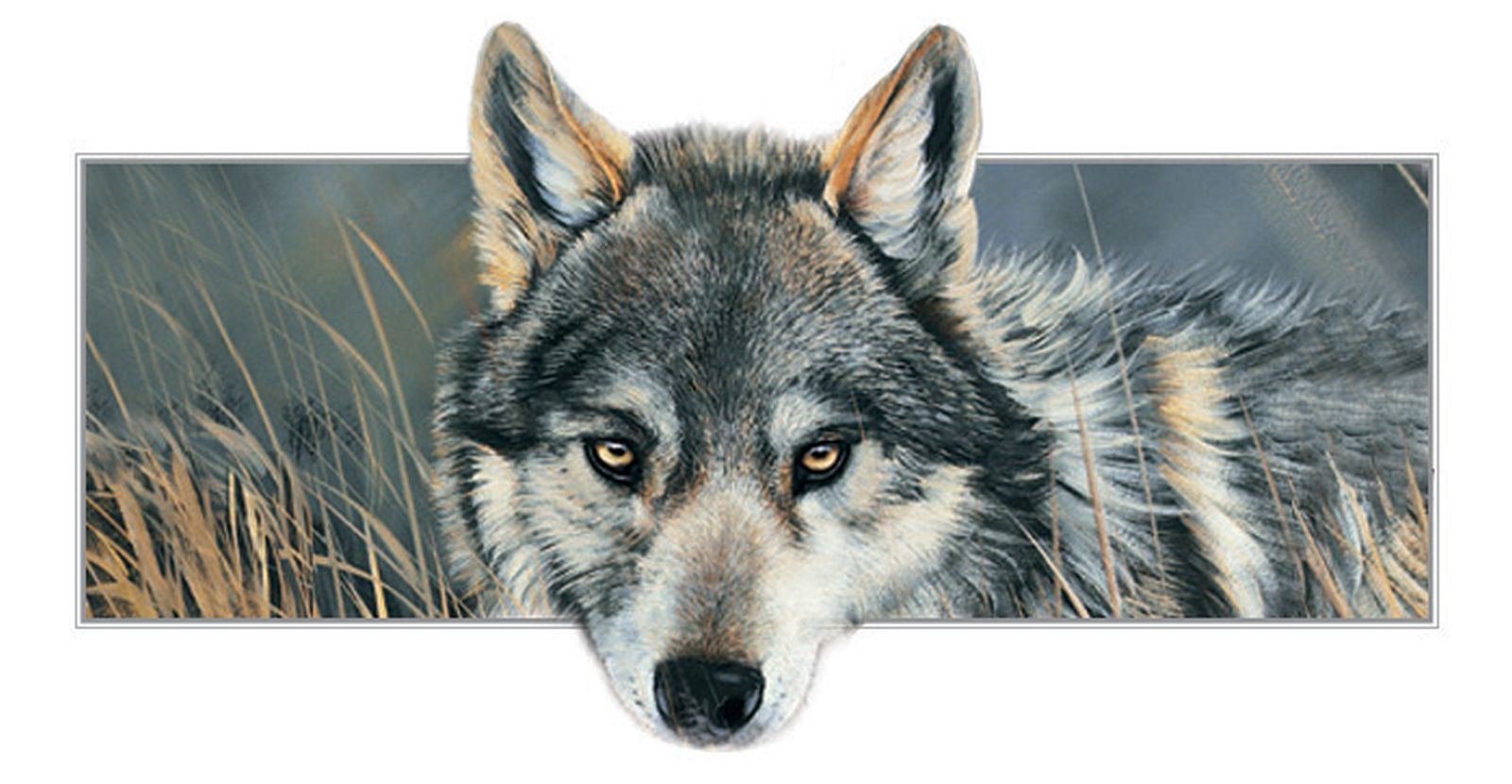 Kort Wild Wolf