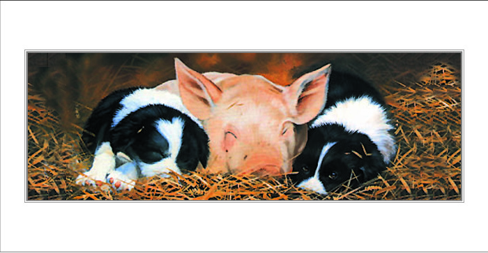 Kort Piggy In The Middle