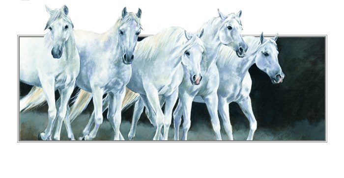 Kort White Horses