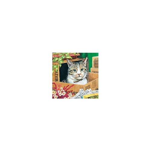 CATS BY CHRISSIE SNELLING CARD - HIDE OUT