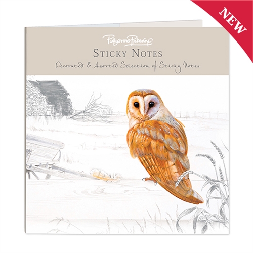 Sticky Notes Selection (square) - Barn Owl