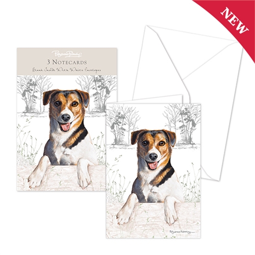 Notecard pack 3 st - Jack Russell