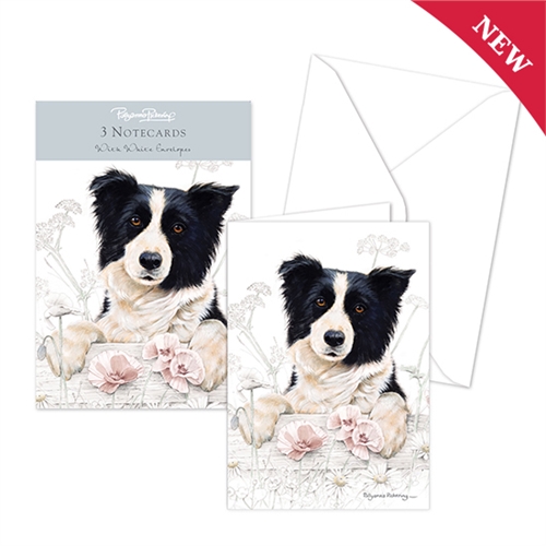 Notecard pack 3 st - Border collie