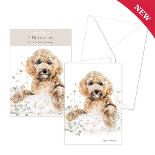 Notecard pack 3 st - Cookapoo
