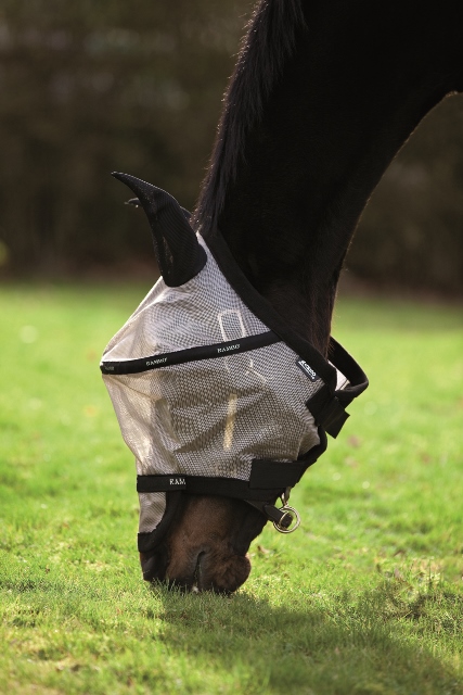 Häst i grå flughuva från Horseware