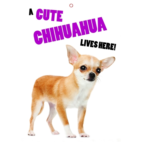 GATE/DOOR SIGN - A CUTE CHIHUAHUA
