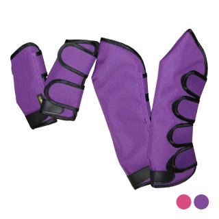 Transportskydd till den lilla ponnyn Lila