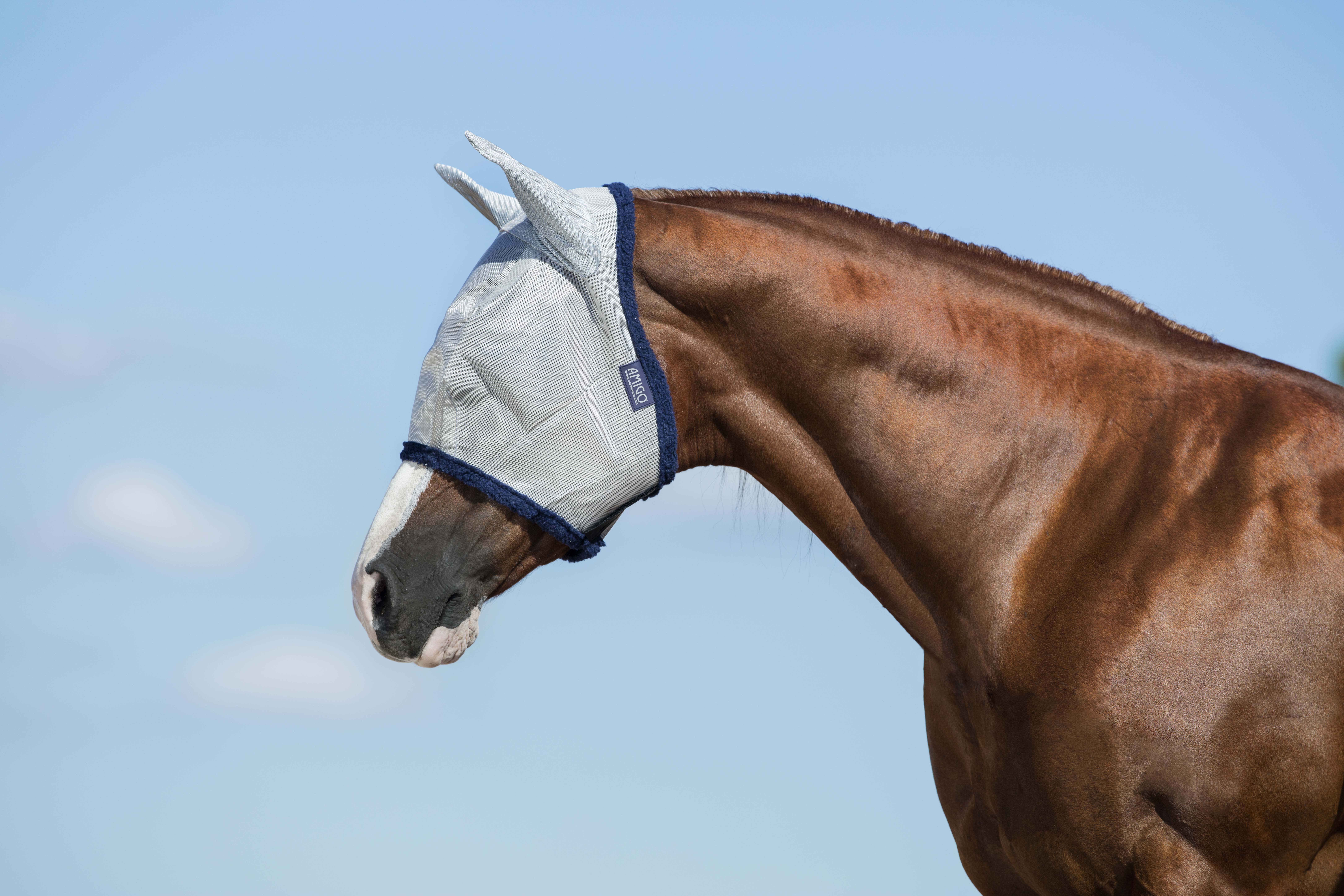Häst i silverfärgad flughuva från Horseware Amigo