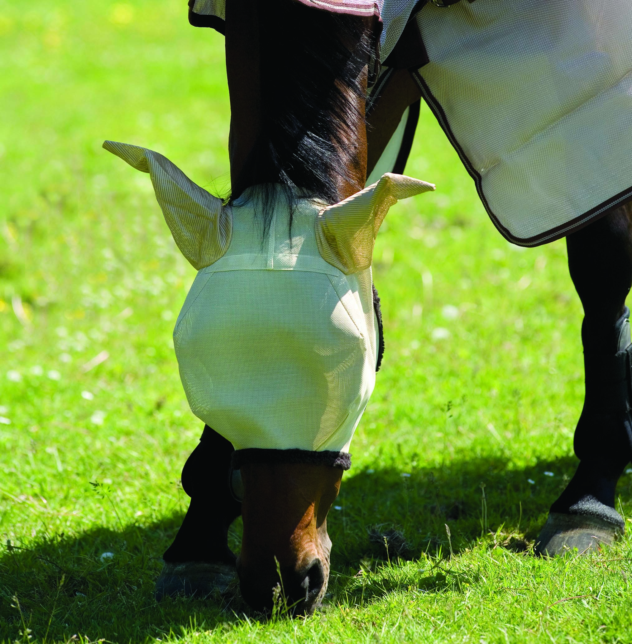 Häst i grå flughuva från Horseware Amigo