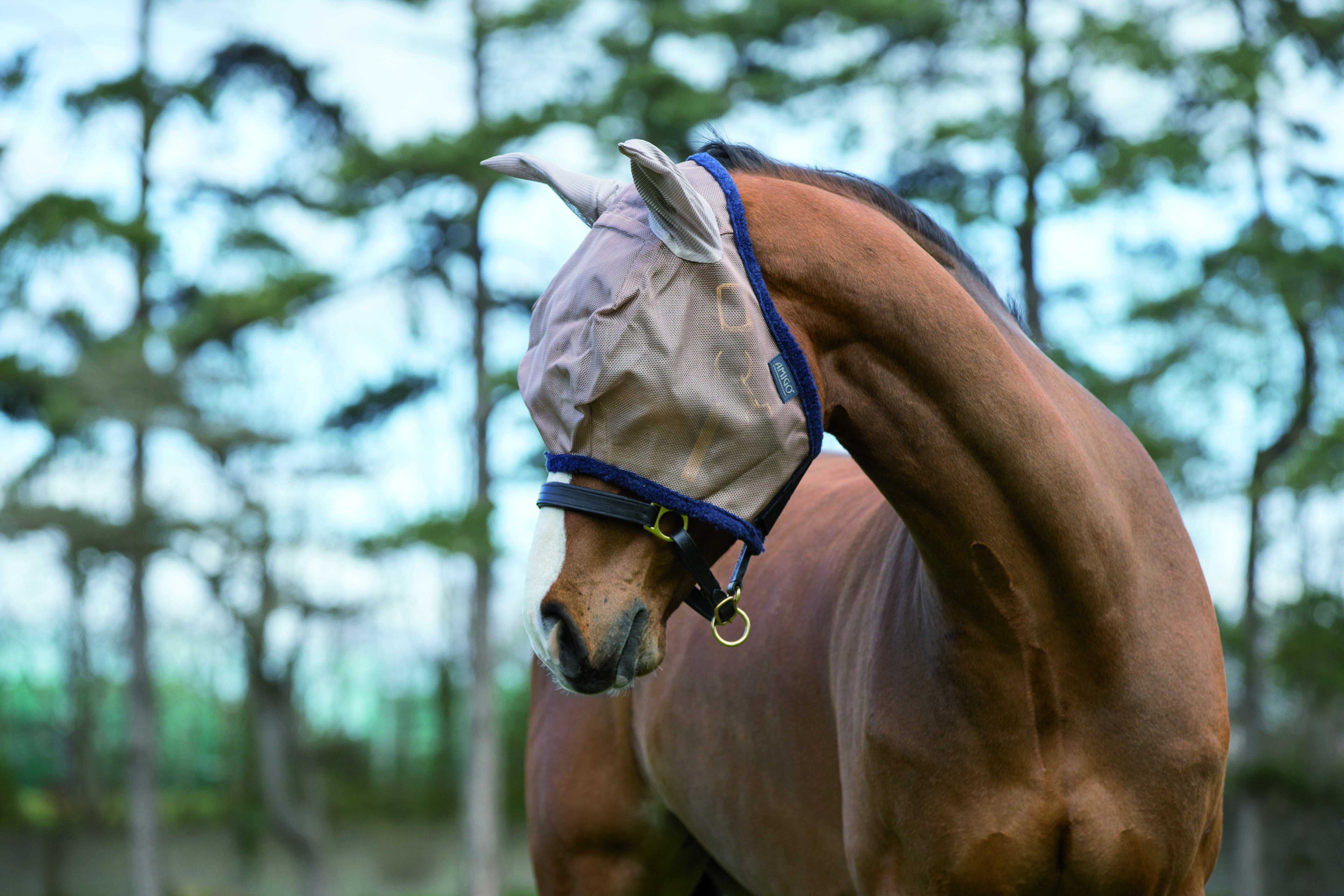 Häst i ljusbrun flughuva från Horseware Amigo
