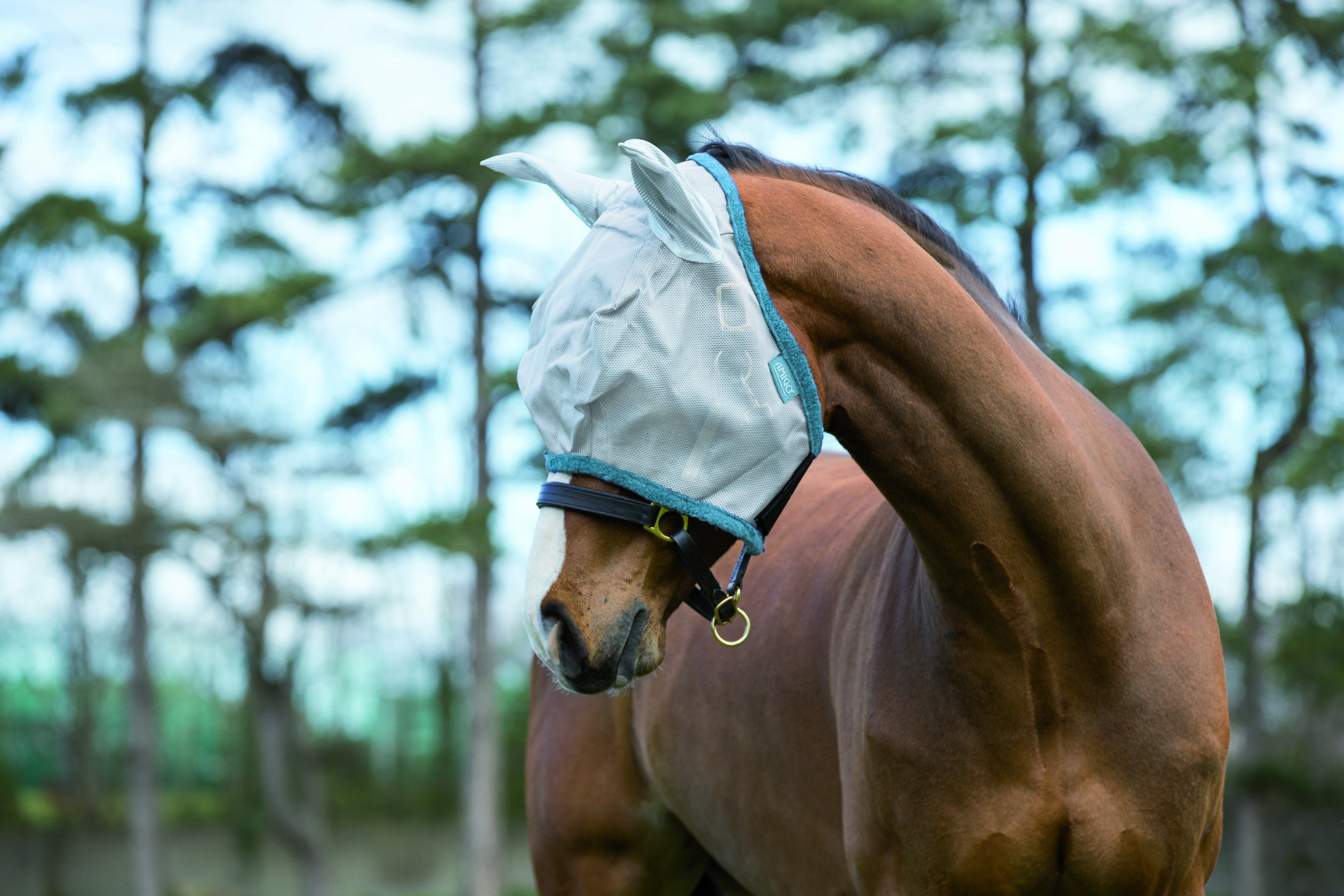 Häst i silverfärgad flughuva från Horseware Amigo