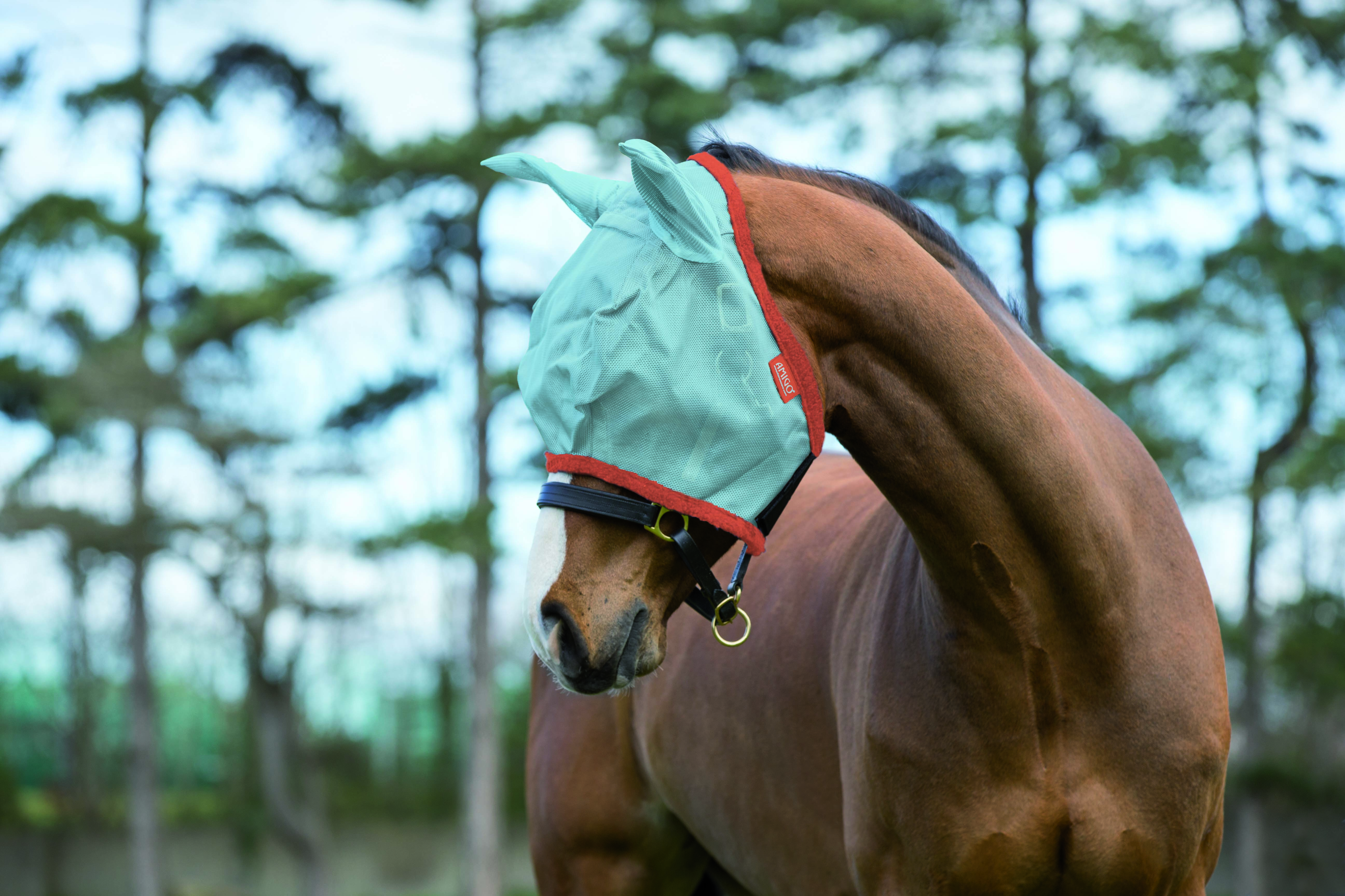 Häst i ljusblå flughuva från Horseware Amigo