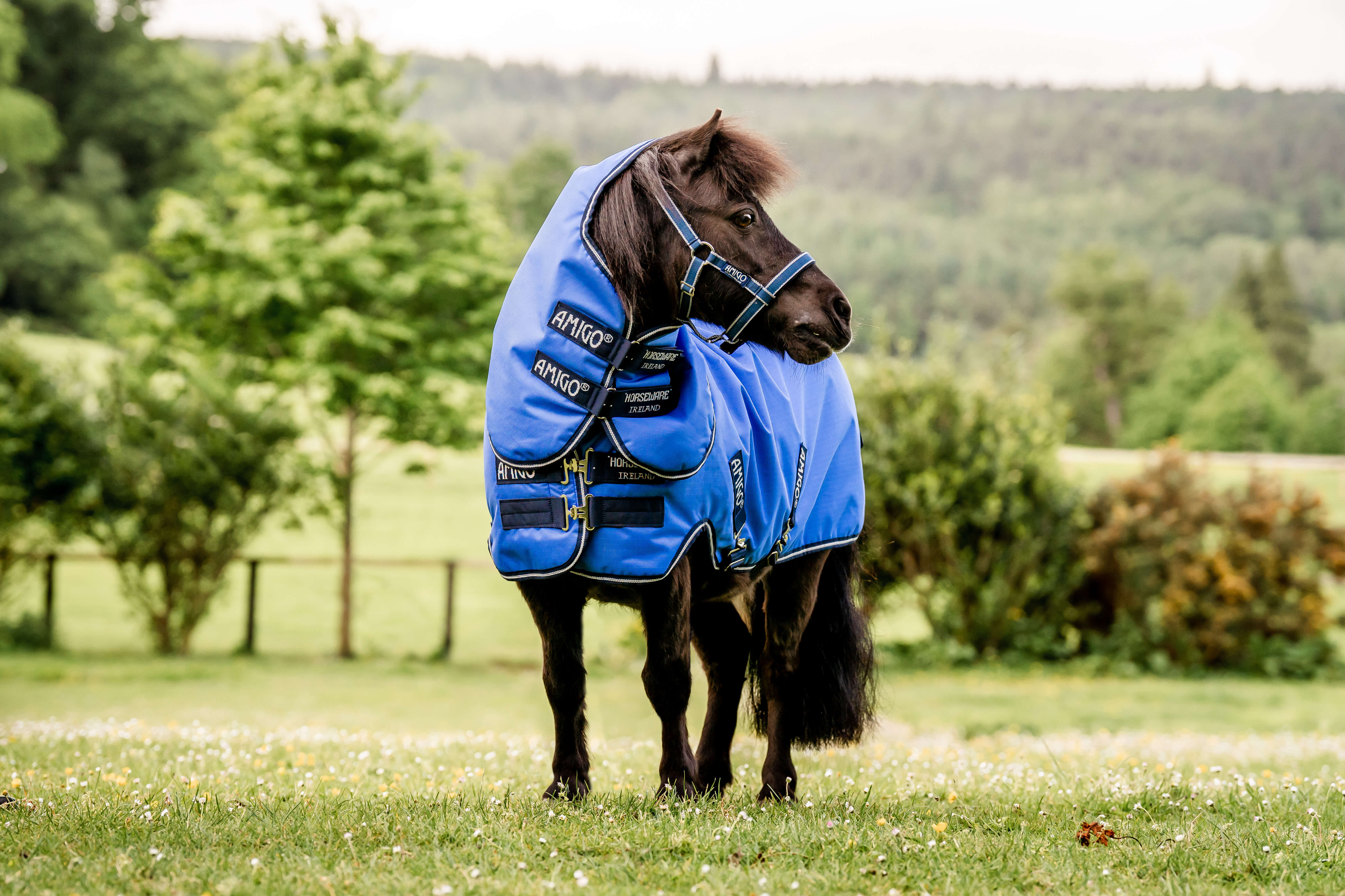Horseware AMIGO HERO 6 PETITE PLUS LITE RIPSTOP  BLÅ (hals ingår) 0 gram - 