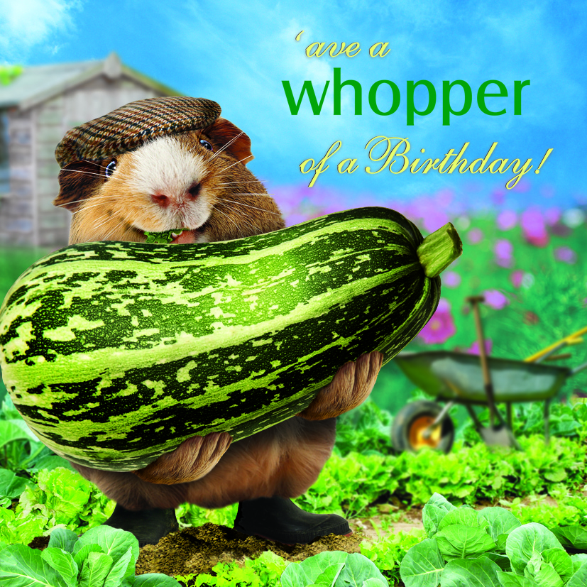 Kort What A Whopper