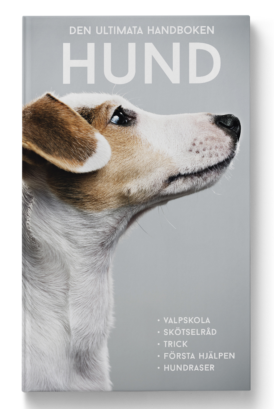 Bok Den ultimata handboken - hund