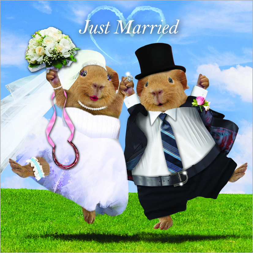 Kort Just Married