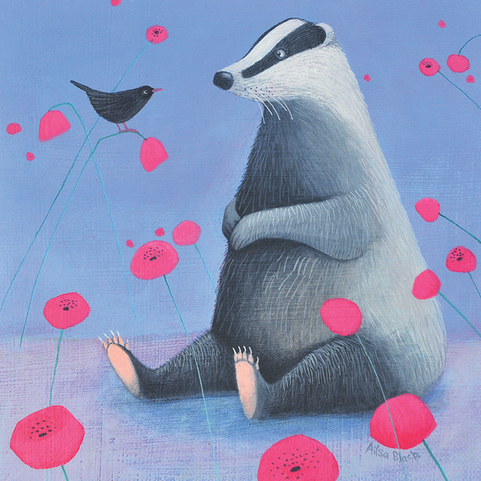 Kort Ailsa Black - Badger On Blue