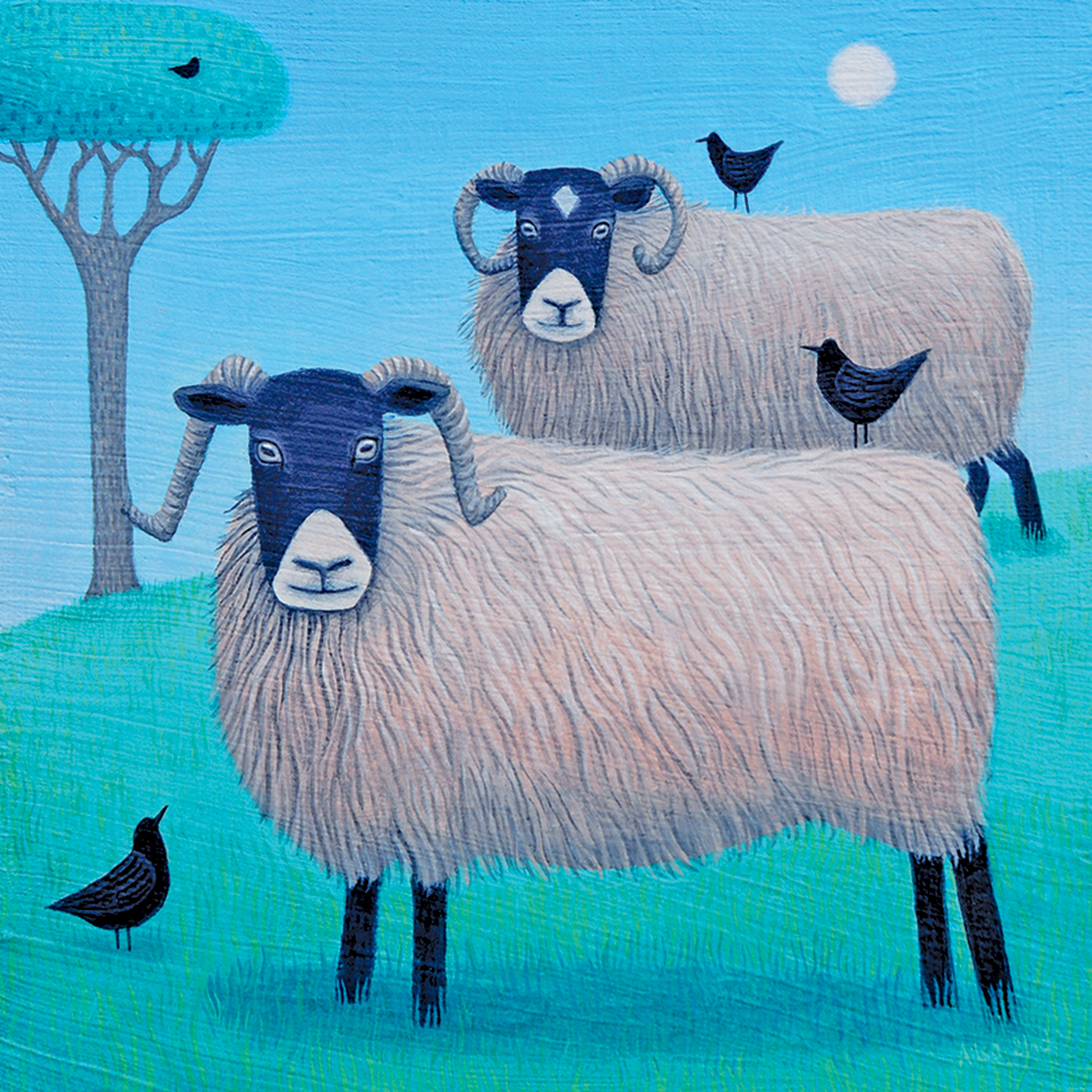 Kort Ailsa Black - Woollit Beasties