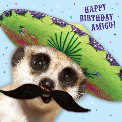 Kort Amigo!