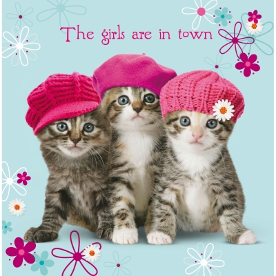 Kort Kittens In Town