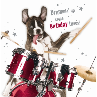 Kort Drummin' Dog