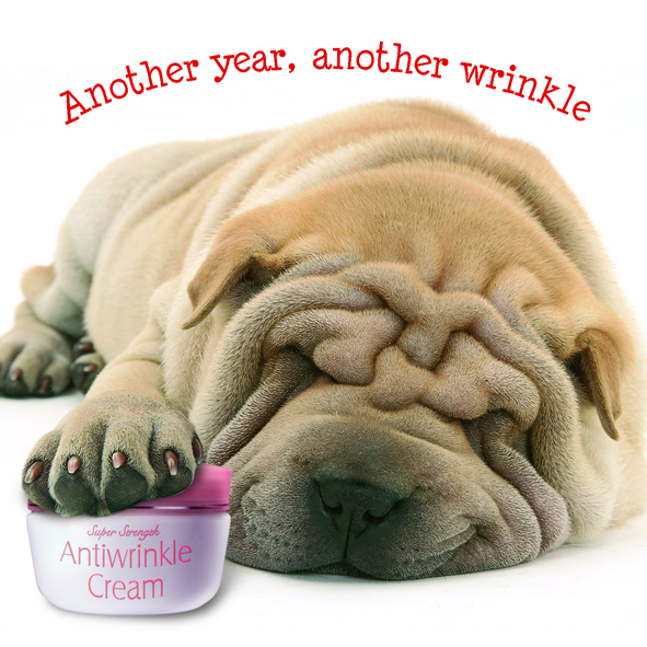 Kort Another Wrinkle