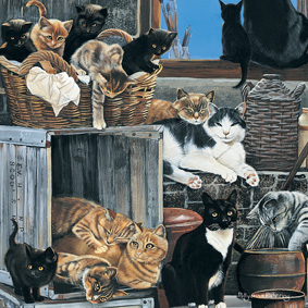 Kort A Company Of Cats