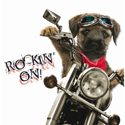 Kort Rockin' Pup