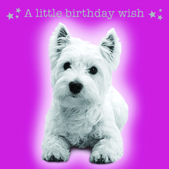 Kort Birthday Westie