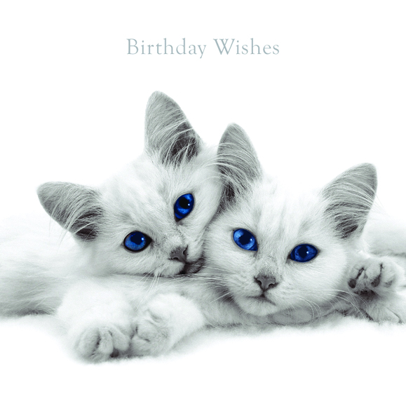 Kort Birthday Wishes
