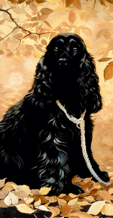 Kort Black Beauty