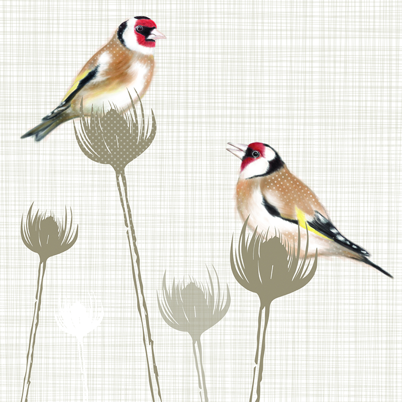 Kort RSPD - Goldfinches