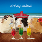 Kort Birthday Cocktails