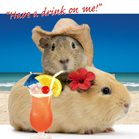 Kort Have A Drink On Me!