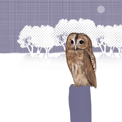 Kort RSPD - Tawny Owl