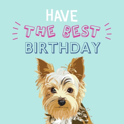 Kort Waggy tails - Ever! - Yorkshire Terrier