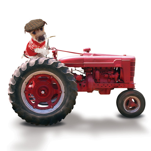 Kort Farmer Jack