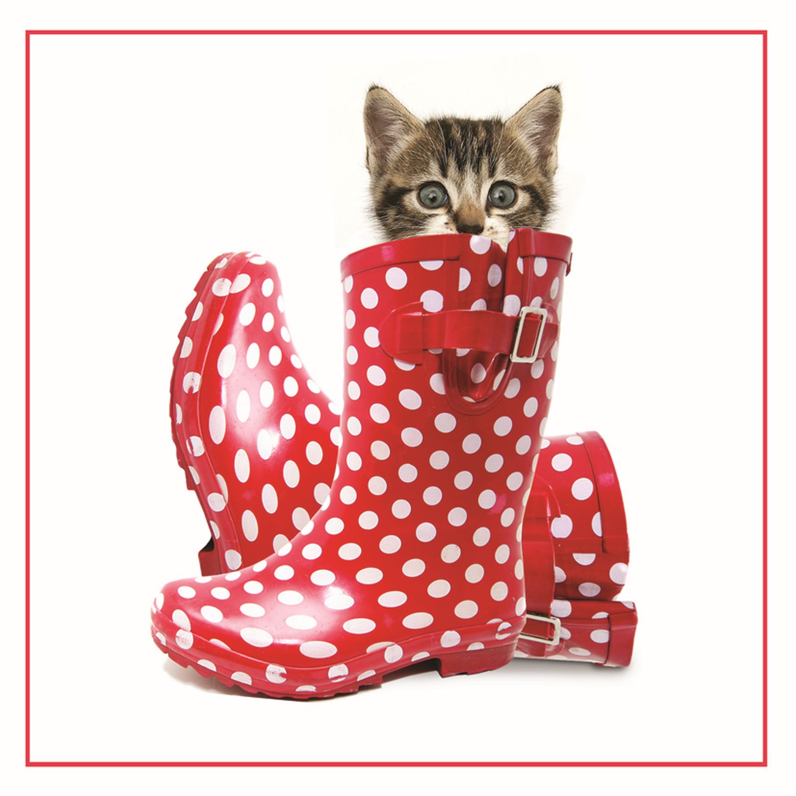 Kort Puss In Boots